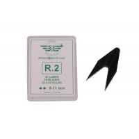 PSMR2